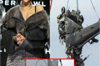 SAD NEWS: The victims of the helicopter crash on the Hudson River have been identified, half of them were children. It’s even more heartbreaking as Rihanna confirms that one of them has been identified as…