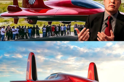 Elon Musk Revealed Tesla Electric Airplane. Everything You Need to Know HERE