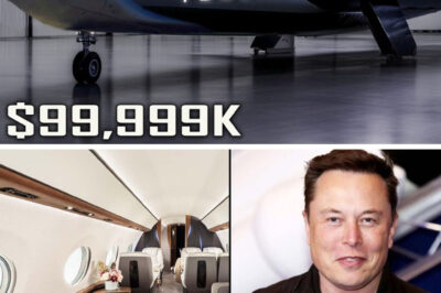 Elon Musk’s New Electric Plane $99,999 Shocks The Entire Industry. Everything You Need To Know Here