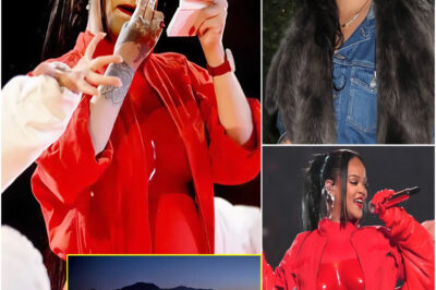 SHOCK: COACHELLA invited Rihanna to perform but she announced 8 words that shocked fans and said it was a cheap festival