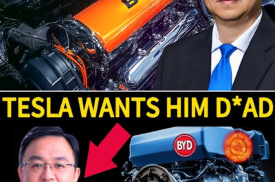 BYD CEO: This NEW 2025 Hybrid Engines Will Shakes The ENTIRE EV Industry!