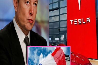 JUST IN: France makes bold decision to shut down Tesla and the US auto industry – Elon Musk is now watching $138,900,000,000 of his wealth vanish — and the bleeding hasn’t stopped. Musk is crying because