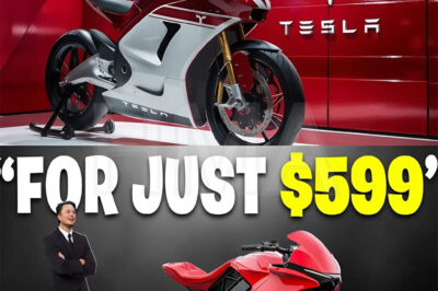 IT HAPPENED! Elon Musk Unveils the New Tesla Electric Motorcycle with Smart Touchscreen – Ready to Shake Up the Market!