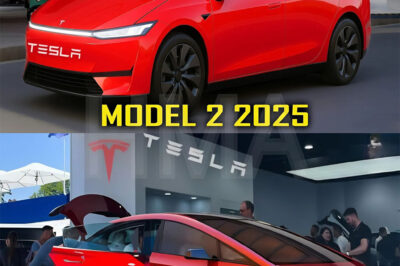 2025 Tesla Model 2: Elon Musk Announces The Game-Changing EV Launching in US.