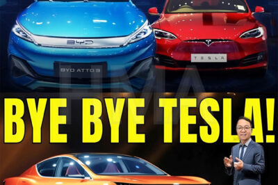 BYD CEO: ‘This New Charger Will Crush Tesla & Disrupt the EV Market in 2025’