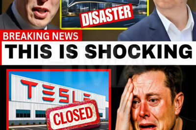 5 MINUTES AGO!! BYD Drops A BOMBSHELL After Announcing This And SH0CKS Tesla!