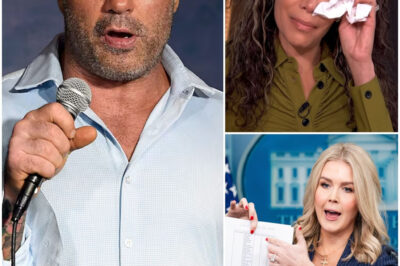 EXPLOSIVE LAWSUIT ROCKS ‘THE VIEW’: Karoline Leavitt Files $500M Suit, Joe Rogan Mercilessly MOCKS Sunny Hostin—Hollywood SHAKEN by Brutal Public Humiliation and Shocking Allegations!