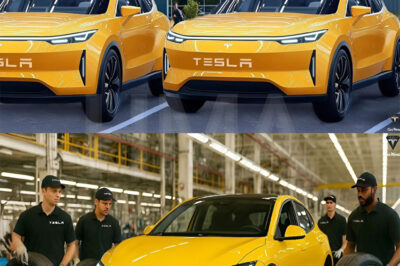 BREAKING: New Tesla Model Q Releases in June! Elon Musk LEAKS All-New Specs That Will Blow Your Mind!
