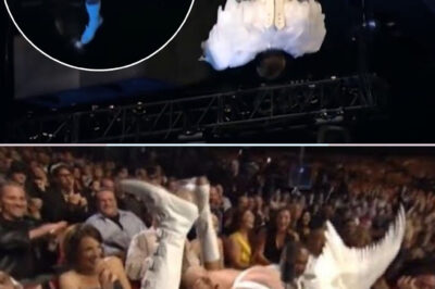 Justin Bieber, dressed in an angel suit, found himself falling into the lap of none other than Eminem during a live performance. The amusing incident occurred at a high-energy event, where both superstars were sharing the stage for a special collaboration. Out of all the people, it had to be Eminem and Eminem be like I should make a diss track on you