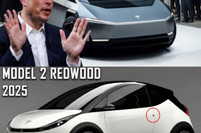 Elon Musk EXPLAINED 2025 Tesla Model 2 Redwood Fianl Production & Battery Update!