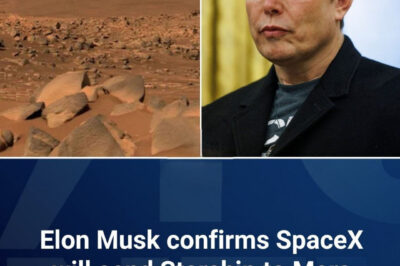 SpaceX to send Starship to Mars next year, Elon Musk confirms.