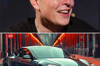 INTRODUCTION: The Model 3 That Runs on Sunshine