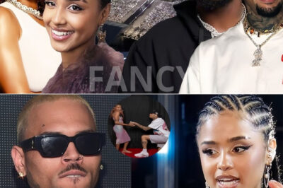 Chris Brown Takes South Africa by Storm: A Spectacular Performance Dedicated to Tyla!.