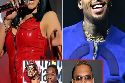 Chris Brown Determined To Reconquer Cardi B’s Heart After Breakup With Offset: Don’t Miss The Details!