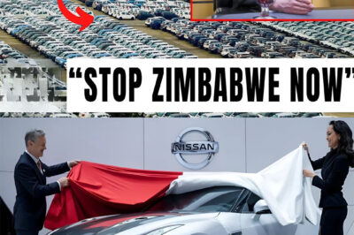Elon Musk: “Zimbabwe New Generation Self Powering Cars Will DESTROY The Entire Industry”