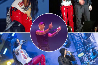 Eminem and Skylar Grey ignite the stage at Lollapalooza 2011 with a powerful live performance of Love The Way You Lie, leaving the crowd spellbound.