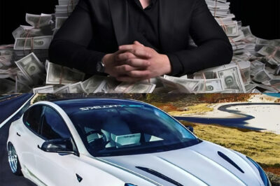 BREAKING: Elon Musk Unveils a Model 3 That Redefines Electric Dreams
