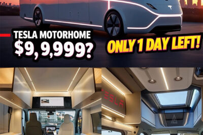 Tesla Model 2 BREAKS Reality with Unbelievable Price! Elon Musk Confirms Mass Sales in Q2!