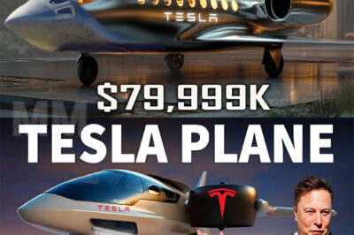 Elon Musk Rev3als New 2025 Tesla Electric Plane $79,999: Sh0cking Production Plan