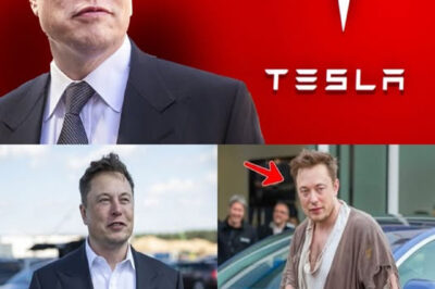 Breaking news: Elon Musk donates $200 million in Tesla stock to help the homeless. The reason Elon Musk explains is…