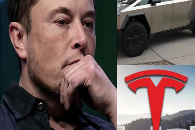 Elon Musk keeps getting bad news: Tesla car returns are at an all-time high, loyal customers are turning away, market share is at high risk of falling into the hands of competitors, and the amount of money Elon Musk has lost will leave you incredulous…