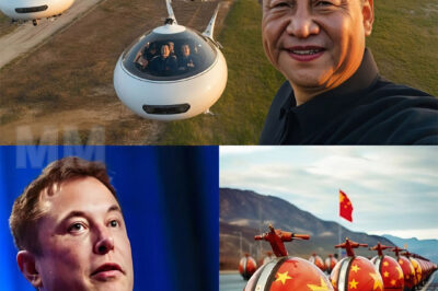 China Launches New Generation of Transportation That Surprises Elon Musk. The Reason Is That This Technology Is Too…