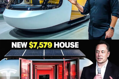 $14,997 Tesla Tiny House FINALLY HIT The Market! INSANE First Look