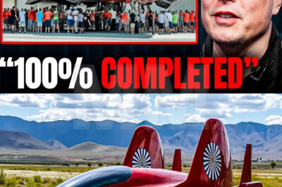 Elon Musk Unveils Groundbreaking $13 Billion Tesla Plane, With Special Feature That Defies the Laws of Physics