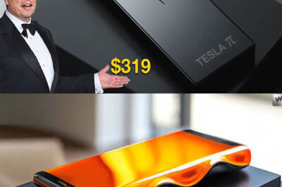 2025 Elon Musk’s Under $379 Projects Are Finally Here. What Inside?