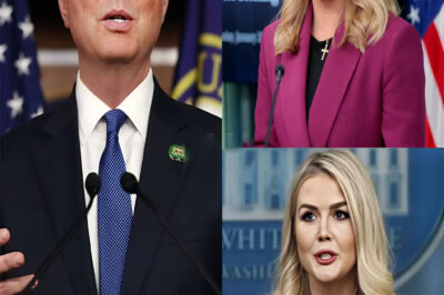 I Can’t Believe You’re Asking Such A Question!’: Karoline Leavitt And Adam Schiff Have Sh0ck Clash