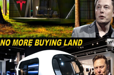 Elon Musk: “I Am Introducing Tesla’s Most Affordable Home to Revolutionize the Housing Market!”