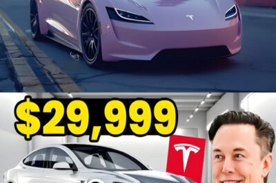Elon Musk Unveils First $30,000 Tesla Model Q 2025Elon Musk, Tesla’s CEO, has historically expressed skepticism about hydrogen as an energy source