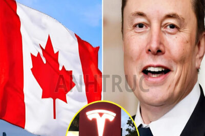 5 MINUTES AGO: Canada makes a bold decision to shut down Tesla and the U.S. auto industry – Elon Musk responds with a sh0cking 8-word message, revealing a hidden truth that leaves the world stunned