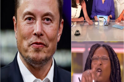 Elon Musk called for a boycott of The View, calling it “a meeting place for ignorant women.” Immediately after, the entire cast responded fiercely.