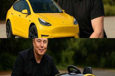 BREAKING: Elon Musk Promises a Cheap Tesla Under $2000.00 by 2026