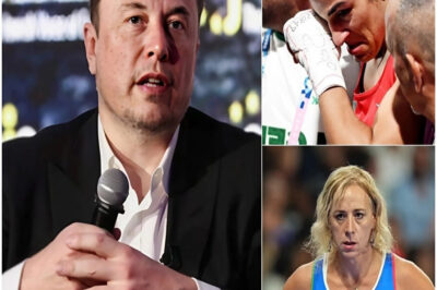 JUST IN: Elon Musk calls for a boycott of male athletes competing in women’s competitions and proposes massive penalties for cheating