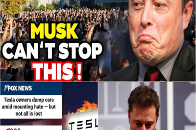 Top 5 States Falling Fast as Elon Musk’s Empire Crumbles – Tesla and Twitter X Employees Panic