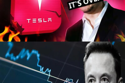 SH0CKING: Elon Musk faints after hearing Tesla’s sales plunge to a record low, losing over $87,000,000,000.00! – meme