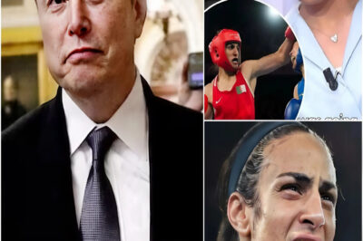 BREAKING NEWS: Elon Musk calls for a boycott of male athletes competing in women’s competitions and proposes massive penalties for cheating