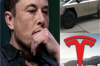Elon Musk is overwhelmed by a series of bad news: the number of Tesla car returns has reached unprecedented levels, his most loyal customers are turning their backs on him, the market share risks falling into the hands of competitors, and the accumulated financial losses will leave anyone speechless.