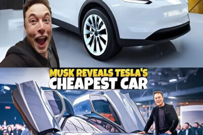 Elon Musk Shocks the World: Tesla’s 2025 Model Y Unveils Its Most Insane Deal Yet—Under $30,123!