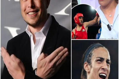 JUST IN: Elon Musk calls for a boycott of male athletes competing in women’s competitions and proposes massive penalties for cheating