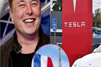BREAKING NEWS: France Makes Bold Move to Shut Down Tesla and the U.S. Auto Industry – Elon Musk Watches $138.9 Billion of His Wealth Vanish, and the Bleeding Hasn’t Stopped
