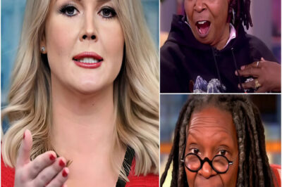 Karoline Leavitt Calls for Boycott of ‘The View’ LIVE On Air—Fans Erupt in Cheers, Social Media Flooded with Praise: “Finally, Someone Said It!”