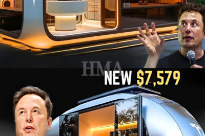 Elon Musk Unveils Revolutionary Tesla Tiny Home — Sustainable Living for Under Arie Hasit ,799 Coming in 2025