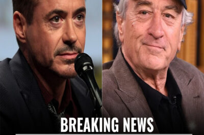 Robert Downey Jr. Turns Down $500 Million Film Project With Robert De Niro: “Keep That Sober Clown Away From Me”