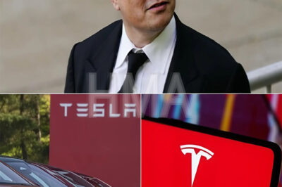 URGENT UPDATE: Elon Musk’s fall from global darling to deserted CEO: Tesla lost $1,000,000,000, China dumped him, and Europe turned its back