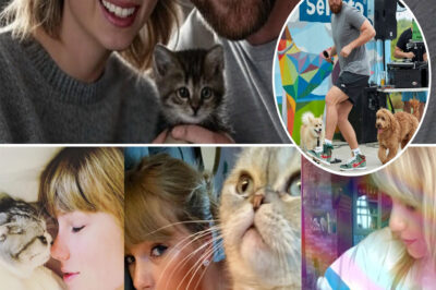 Despite being a longtime dog lover, Travis Kelce recently welcomed a cat into his home — a shared decision with Taylor Swift, meant to make their private space feel “livelier.” “The house feels too big for just the two of us,” Kelce reportedly jokes. The feline addition has already charmed those close to the couple, but what really has fans talking is the cat’s unexpected — and delightfully quirky — name.