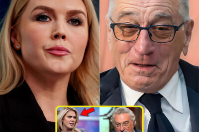 Liberal TV Host DESTROYS Robert De Niro On Live TV – His Furious Reaction Goes INSANELY Viral!
