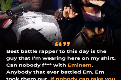 Flavor Flav shows massive love to Eminem